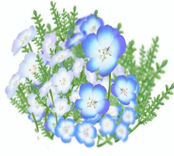 ひたちなか地域家族会